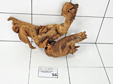 Premium Aquarium Natural