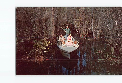 Postcard okefenokee swamp - okefenokee,