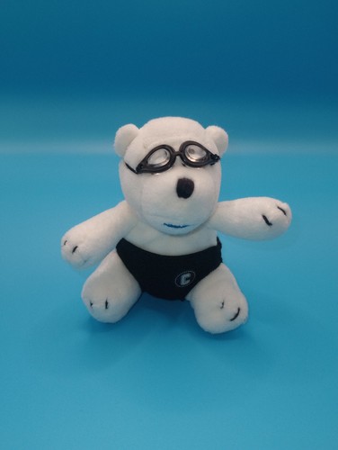Birds eye goggles - goggles, polar