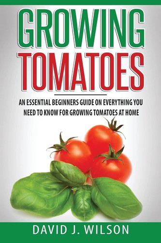 Growing tomatoes essential - growing, tomatoes: