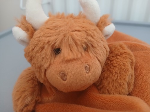 Jomanda cow bull cushion - bull,