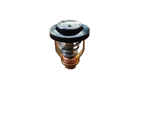 Thermostat for suzuki outboard - for,