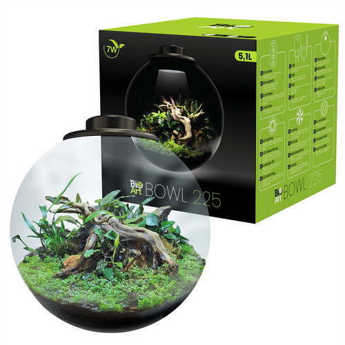 Bioart glass terrarium - glass, nano