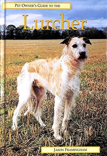 Pet owner guide the - pet, owner's