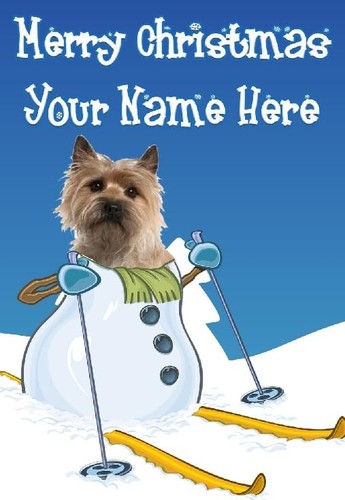 Sm23 cairn terrier dog - cairn,