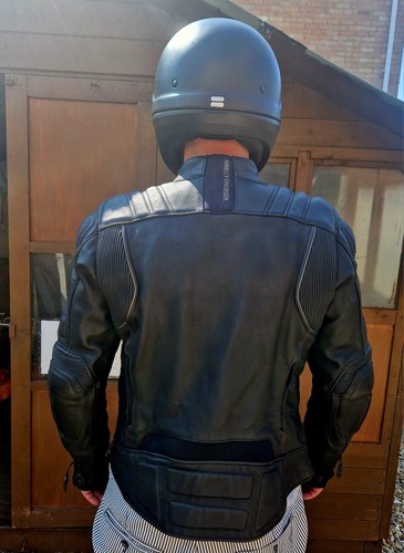 Harley davidson motorbike - harley,