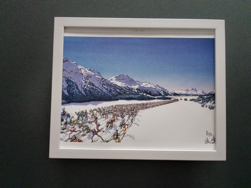 Loon cartoon skiing print - loon,
