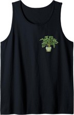 Monstera Deliciosa Variegata I