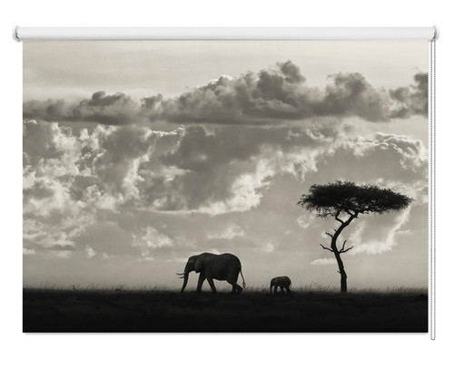 Safari silhouette elephant - safari,