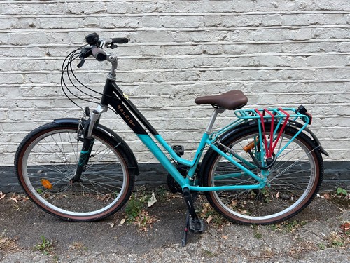 Raleigh pioneer trail - trail, hybrid