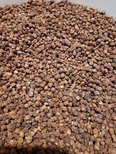 Bee bread From Poland 1kg ?? Pierzga Pszczela Z Polski 1kg