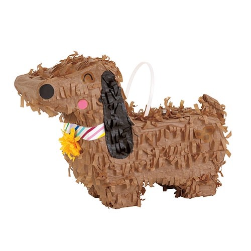 Dachshund dog mini - dachshund,