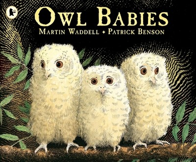 Owl babies free - babies,