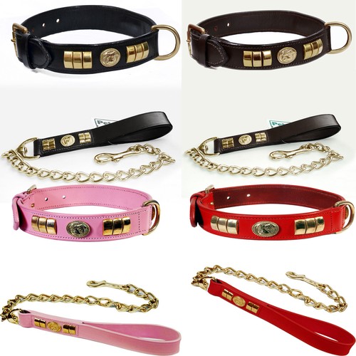 Leather dog collar - collar, lead