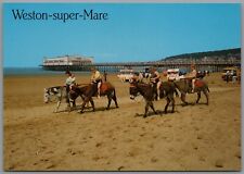 Donkeys On The Sands