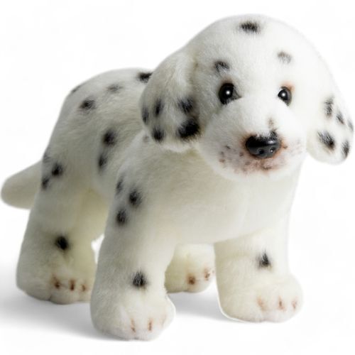 Dalmatian standing dog - dalmatian,