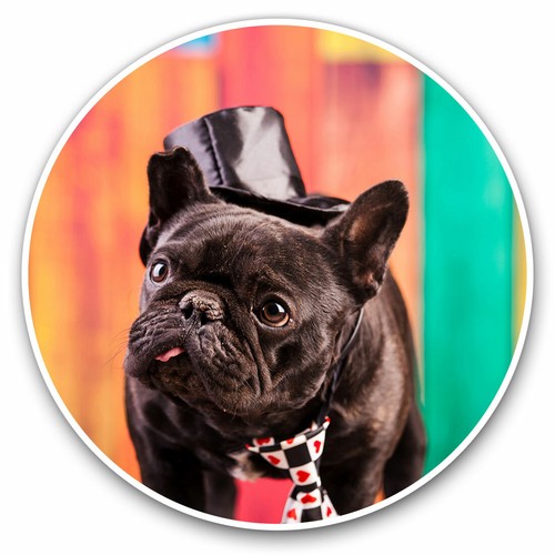 Vinyl stickers 25cm - vinyl,