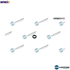SEAL RING INJECTOR DRM03113