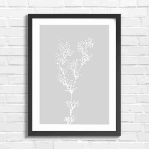 White lavender line art - line,
