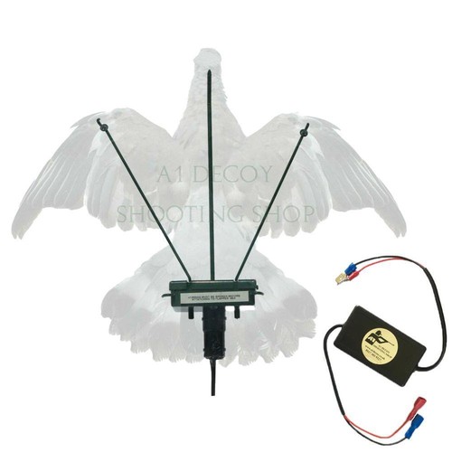 Turbo pigeon flapper - flapper, with