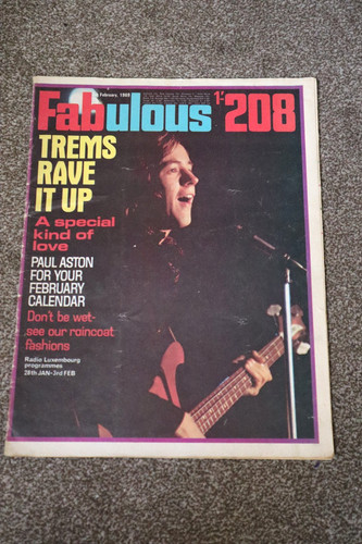 Fabulous 208 magazine feb - fabulous,