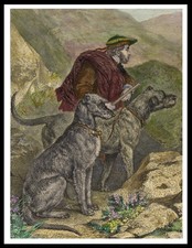 DEERHOUND DOGS SCOTTISH