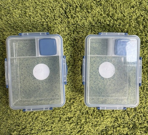 Bento lunch box snack - 2, bag