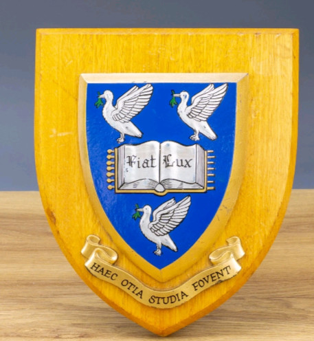 Vintage liverpool university - vintage,