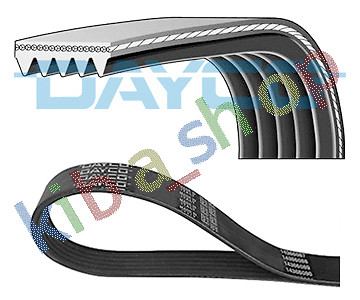 Multi belt 5pk855 fits - multi-v-belt, d