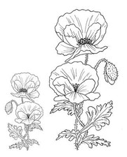 Unmounted Rubber Stamps Poppies