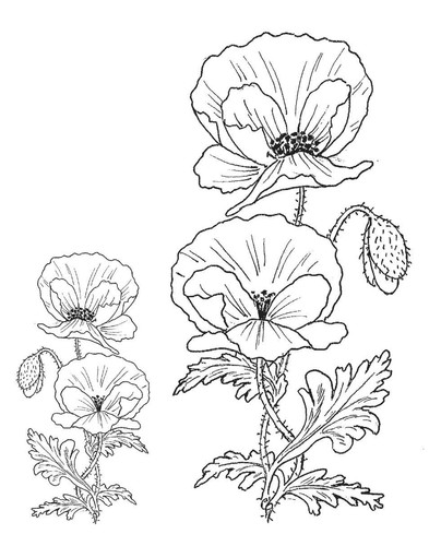 Unmounted rubber stamps - unmounted,