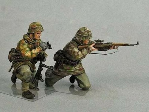 Wii series resin - 1/35,