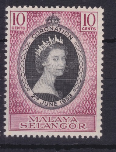 Qeii 1952 coronation omnibus - 1952,