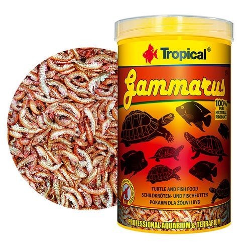 Freeze dried gammarus shrimp - freeze,