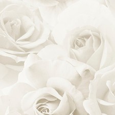 Muriva Rhoda Rose Cream Wallpaper 203502 - Feature Wall 3D Effect Large Floral