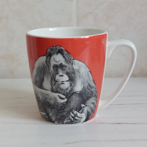 Queens churchill orangutan - queens,