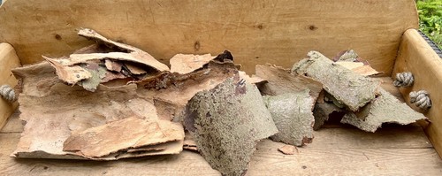 Natural tree bark - natural,