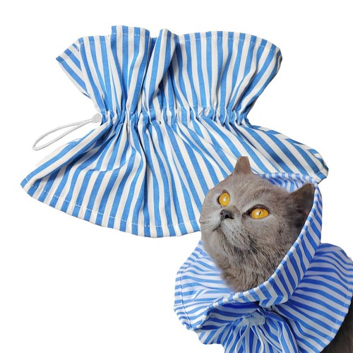 Elizabethan pet protective - elizabethan,