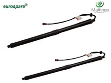 Electronic tailgate struts - electronic,