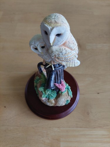 Barn owl and - owl, fine