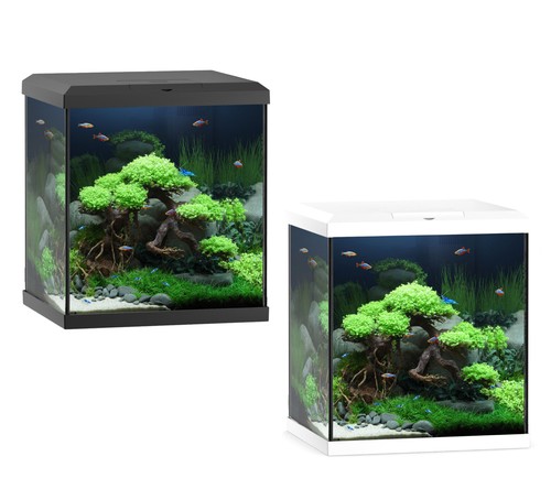 Juwel vio cube 54l - juwel,