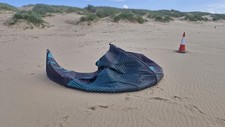 Liquid force wow 10m - wow, kite