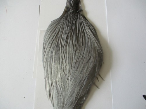 Premium cock cape neck light