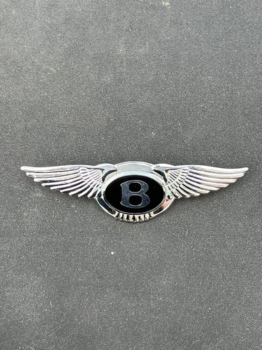 Bentley flying automobile - flying,
