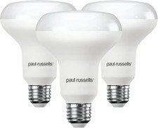 paul russells Day Light E27