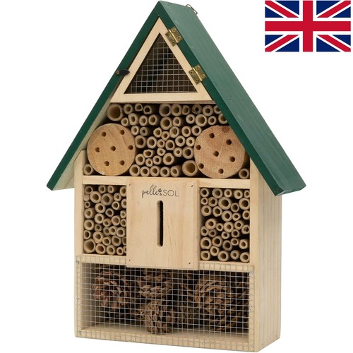 Eco friendly large insect - eco,