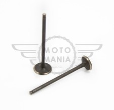 Intake & Exhaust valves Pair