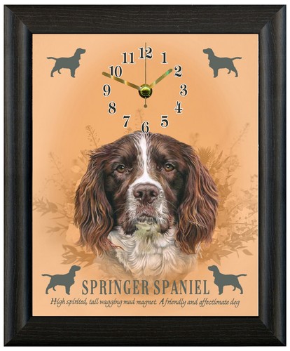 Springer spaniel gift - springer,