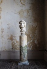 19th C Plaster Bust  Alexander
