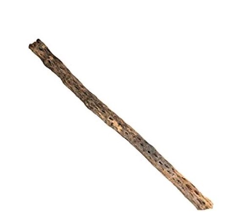 Cholla cactus wood 30m - x2, 20-30m-
